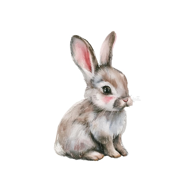 cute rabbit vector illustration in watercolour style