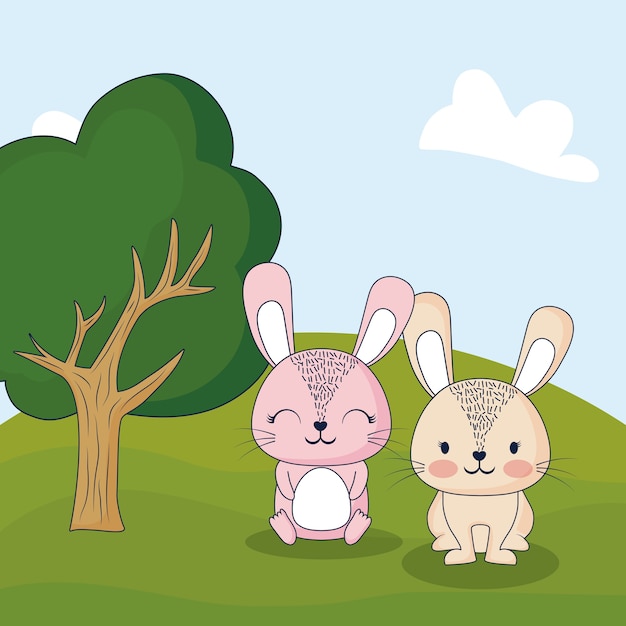 cute rabbits in a forest