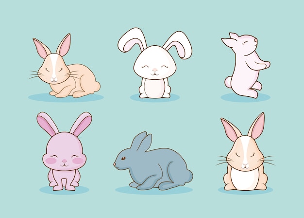 Cute rabbits 