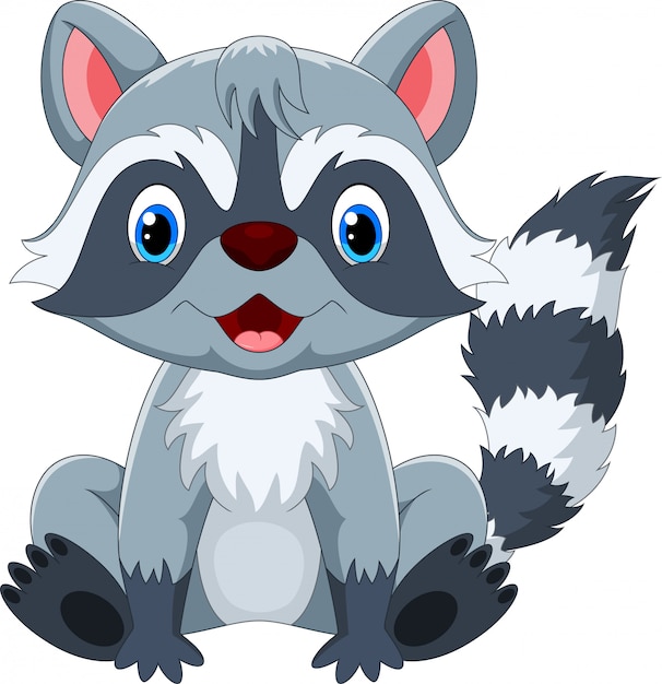 Cute raccoon cartoon