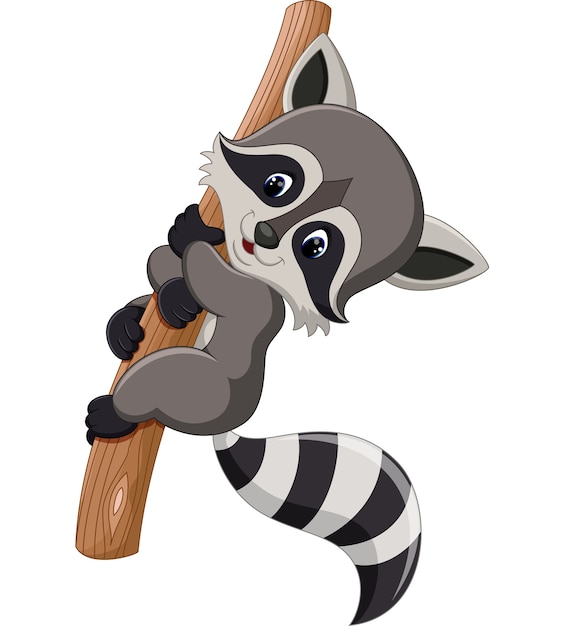 Cute raccoon cartoon