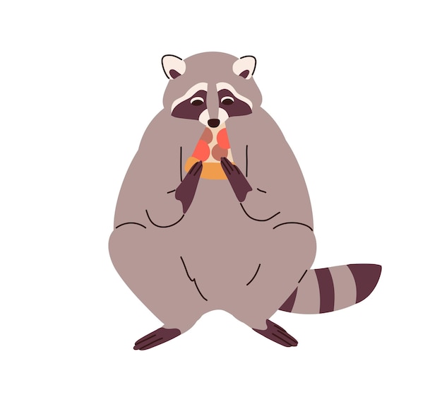 Cute raccoon eating pizza piece. Funny adorable racoon with food slice in paws. Amusing lovely animal sitting with snack, feed. Flat vector illustration isolated on white background