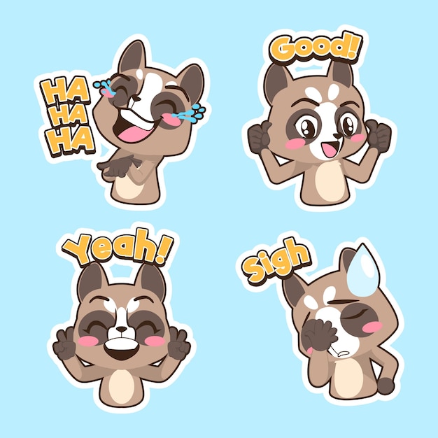 Cute raccoon vector set raccoon illustration