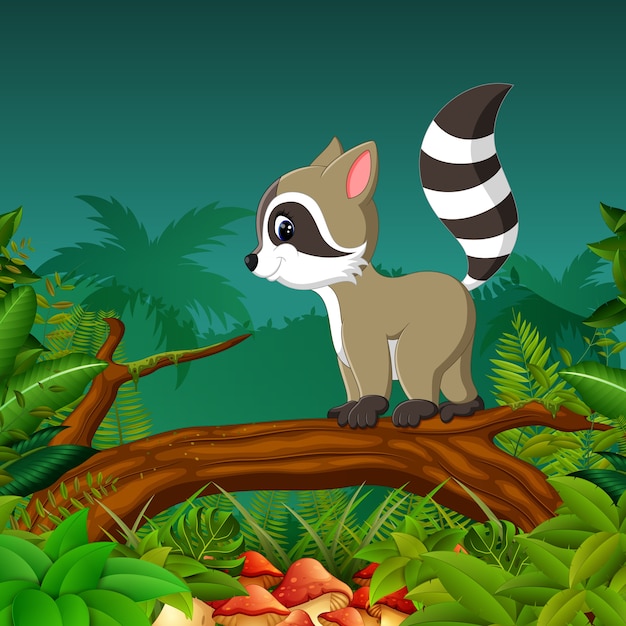 Vector cute raccoon walking on the tree