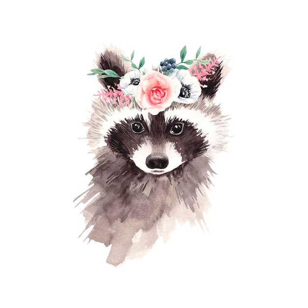 Cute raccoon