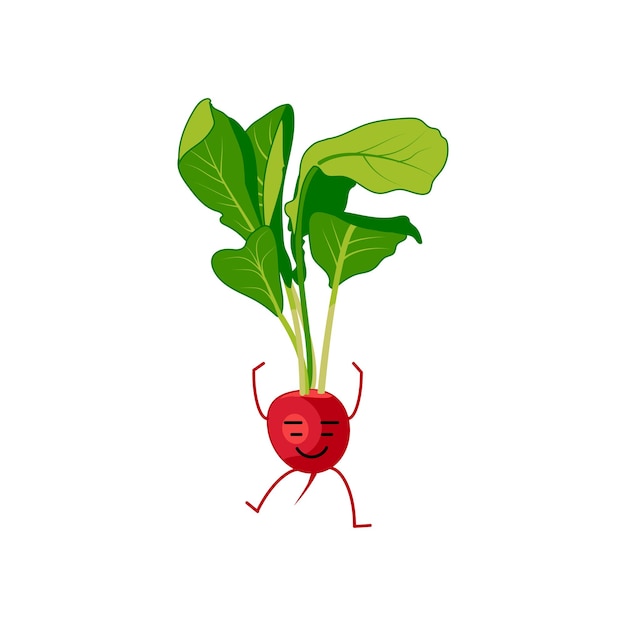 Cute radish cartoon character