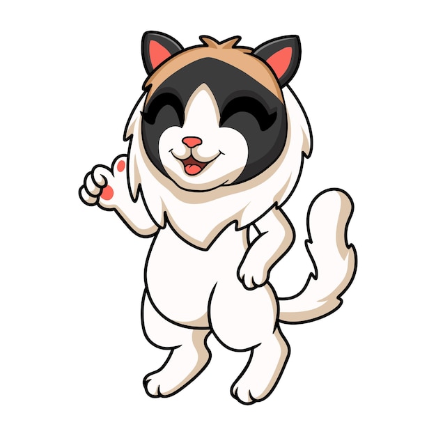 Cute rag doll cat cartoon giving thumbs up