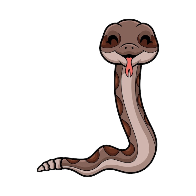 Cute rattlesnake cartoon on white background