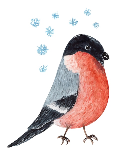 Cute red and black watercolor Christmas bullfinch