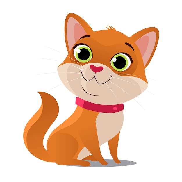 Cute red cat on white background