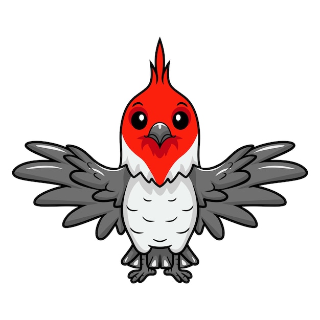 Cute red crested cardinal bird cartoon