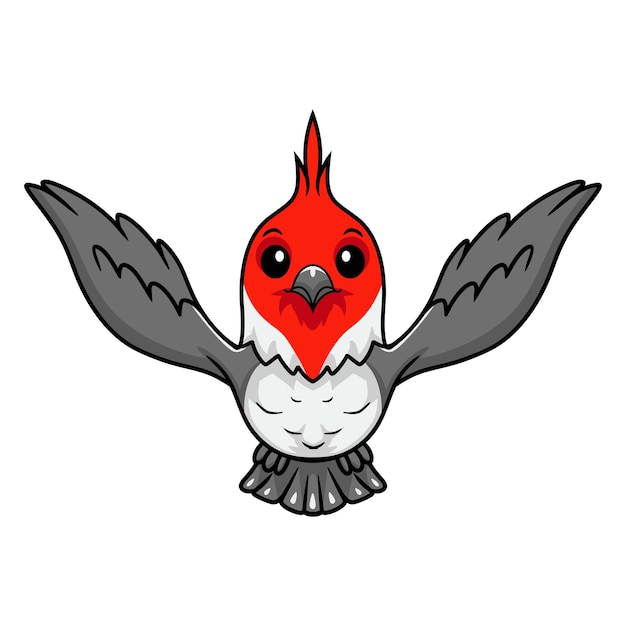 Cute red crested cardinal bird cartoon