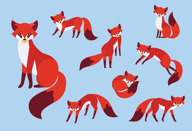Cute red fox vector illustration