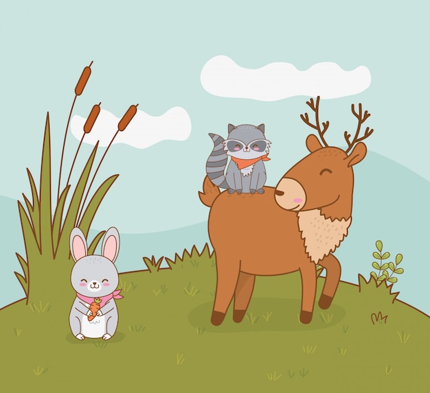 Cute reindeer and raccoon in the field woodland character