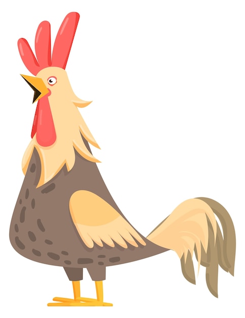 Cute rooster character Cartoon farm chicken bird isolated on white background