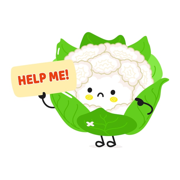 Cute sad Cauliflower asks for help character