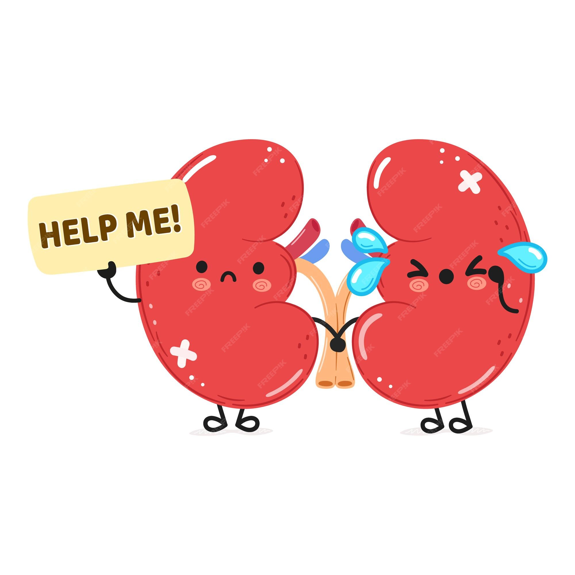 Premium Vector | Cute sad sick kidneys organ asks for help character