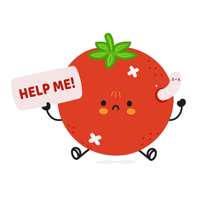 Cute sad sick tomato asks for help character