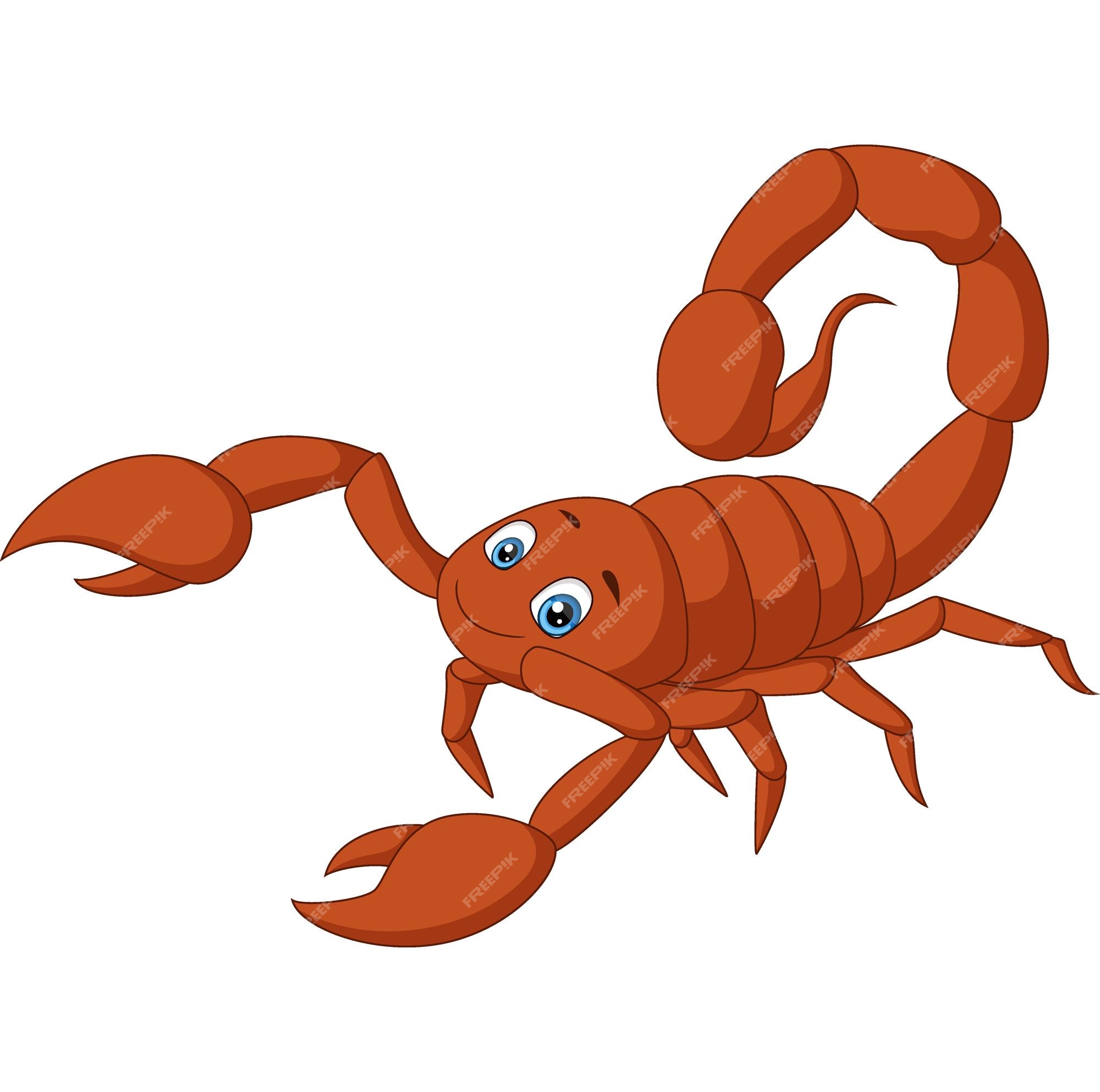 Premium Vector | Cute scorpion cartoon on white background