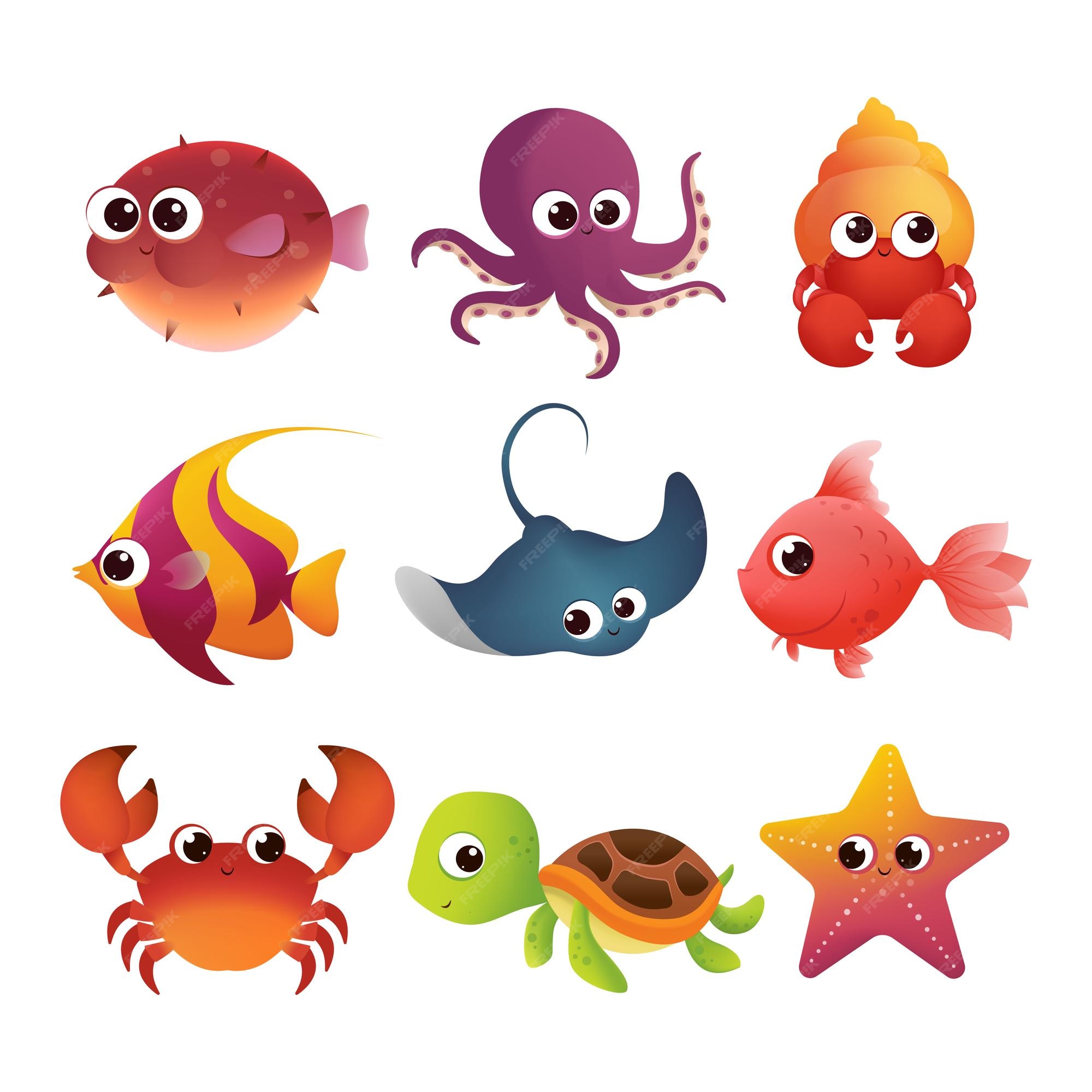 ocean-life-animals
