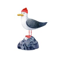 Cute seagull in red fishing hat on the stone vector watercolor animal character