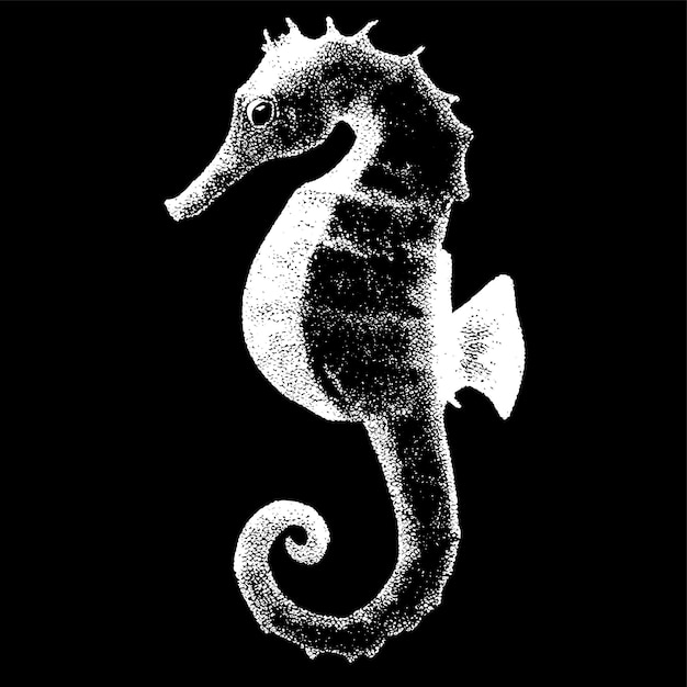 Vector cute seahorse ocean animal hand drawn flat stylish cartoon sticker icon concept isolated