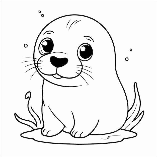 Vector cute seal coloring book for kids