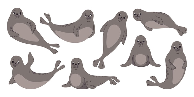 Vector cute seal in various poses set vector flat illustration on white background