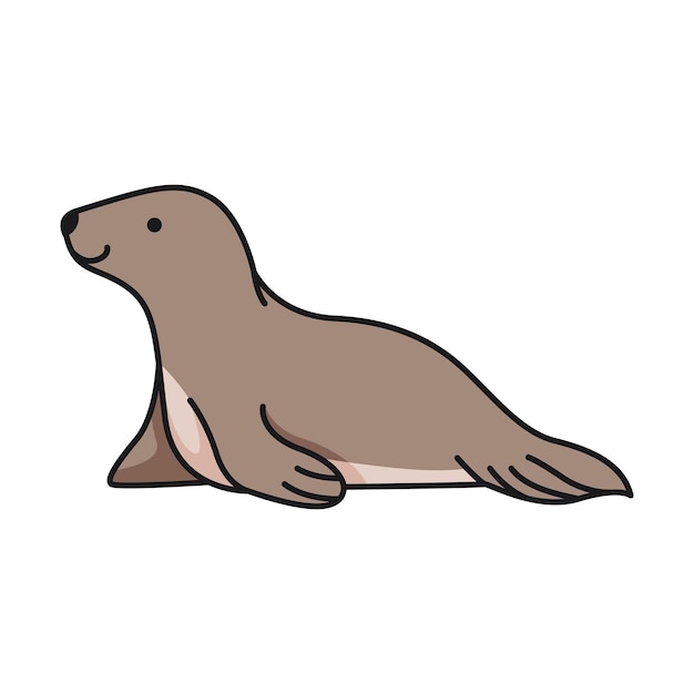 Cute seal