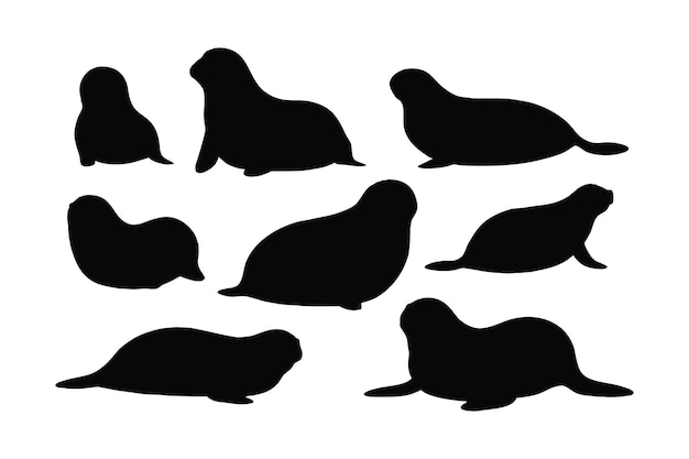 Cute seals silhouette bundle design Wild sea lions sitting in different positions Seals full body silhouette collection Big sea creatures and sea lions sitting silhouettes on a white background