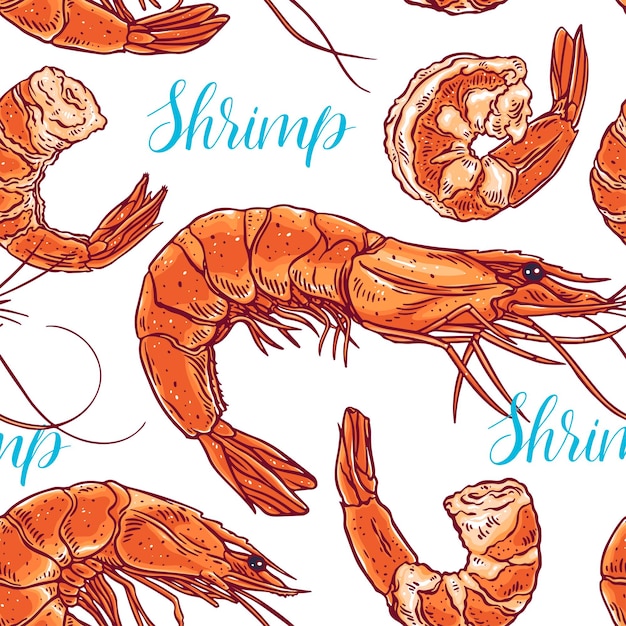 Vector cute seamless background of cooked different shrimps. hand-drawn illustration