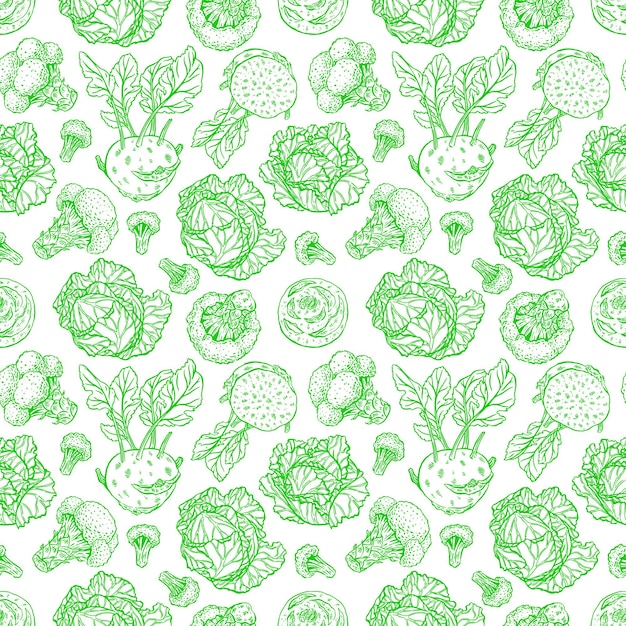 Cute seamless background of various kinds of sketch cabbage. white cabbage, scotch kale, kohlrabi, broccoli. hand-drawn illustration