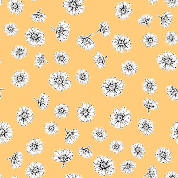 Cute seamless pattern with white chamomiles