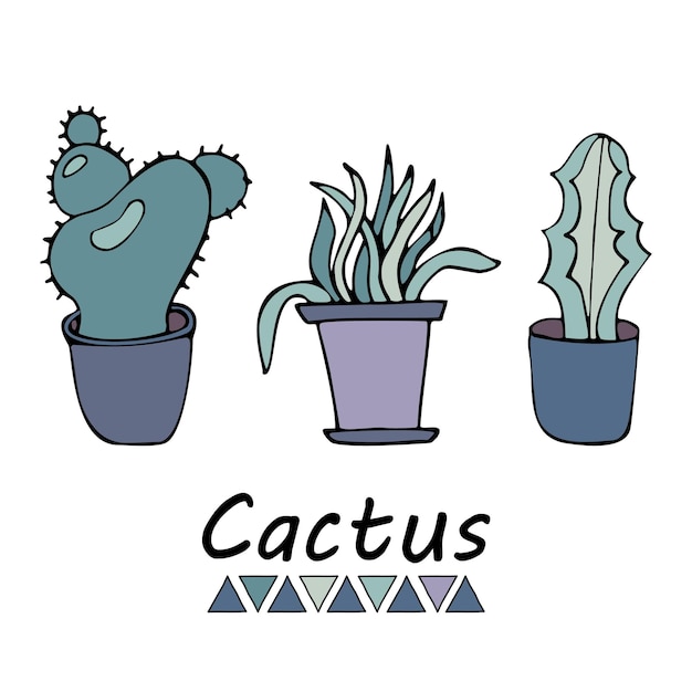 Simpatico set di cactus in una pentola, disegnato a mano