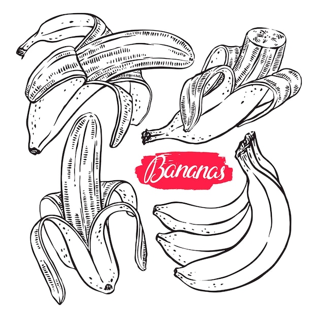 Simpatico set di banane diverse. illustrazione disegnata a mano