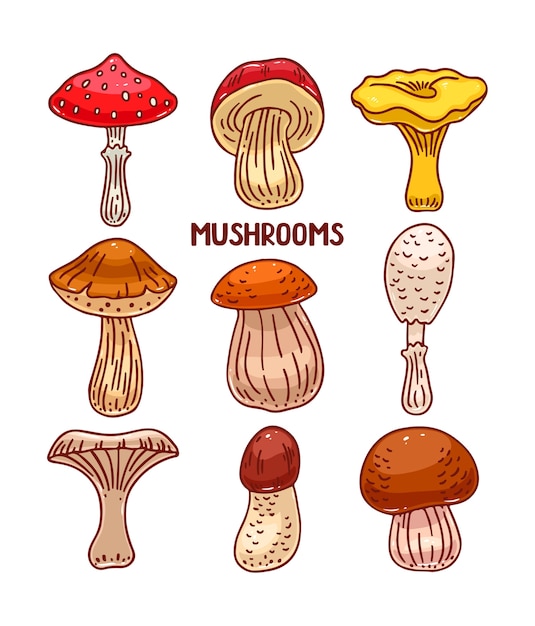 Insieme sveglio di vari tipi di funghi colorati di schizzo. illustrazione disegnata a mano