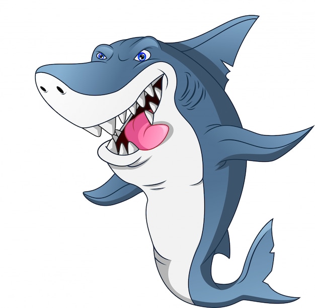 Cute shark cartoon