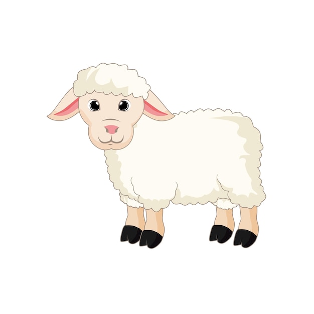 Vettore cute sheep cartoon vector art su sfondo bianco