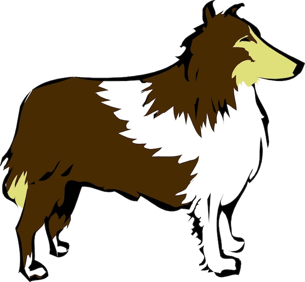 Vector cute sheltie dog or rough collie cartoon handdrawn pet animals comic vector illustration