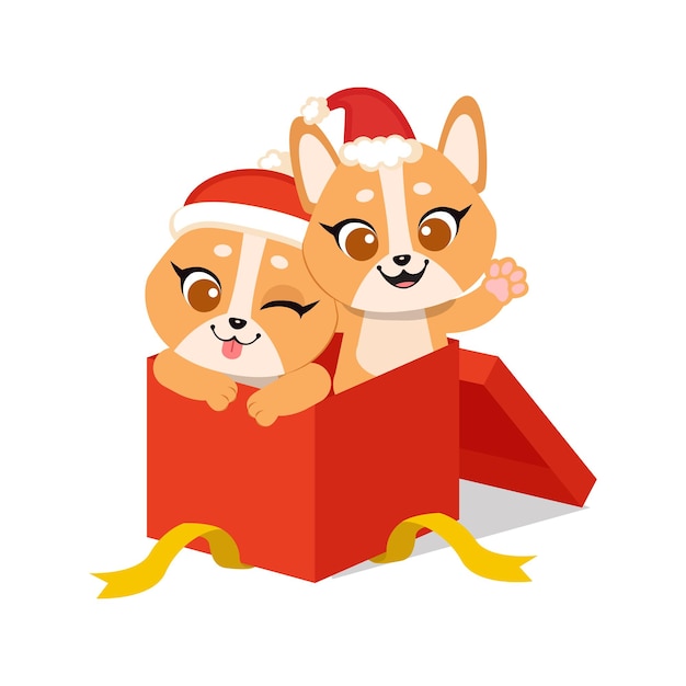 Cute shiba inu celebrates christmas in present gift box