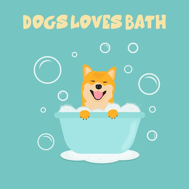 Cute shiba inu dog in bath with bubbles Grooming shop logo