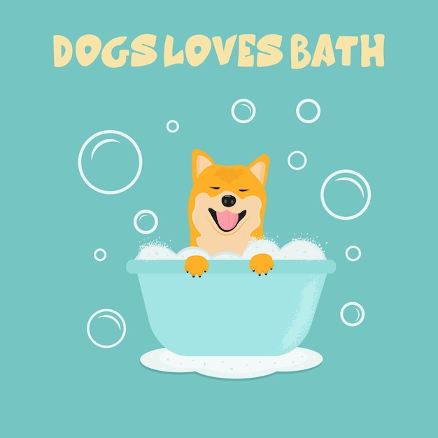 Vector cute shiba inu dog in bath with bubbles grooming shop logo