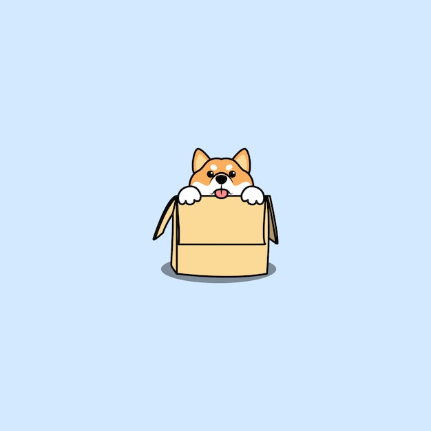 Cute shiba inu dog in the box