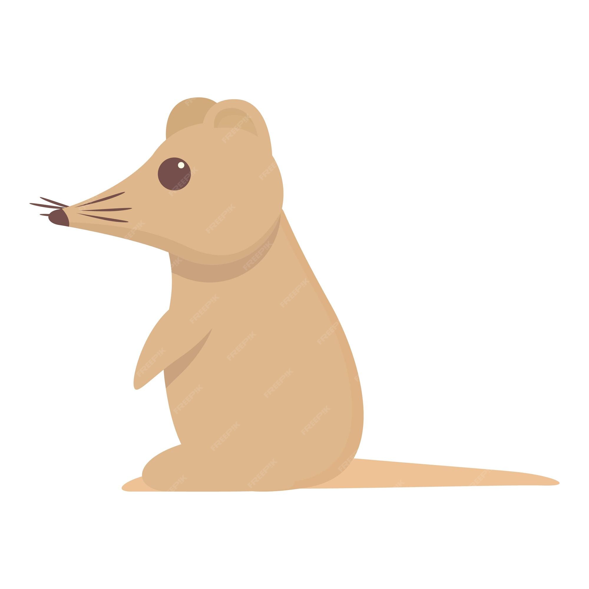 Premium Vector | Cute shrew icon cartoon vector Domestic animal Farm mammal