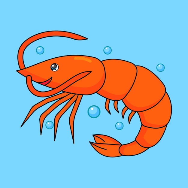 Vector cute shrimp