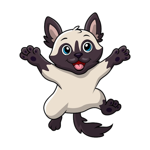 Cute siamese cat cartoon on a white background