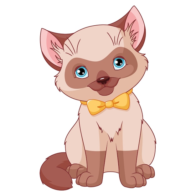 Vector cute siamese kitten sitting cartoon vector illustration