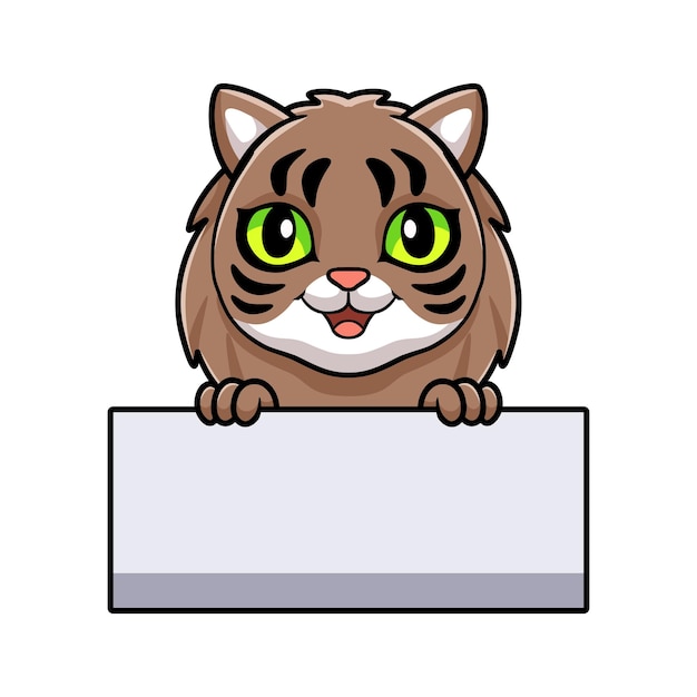 Cute siberian cat cartoon holding blank sign