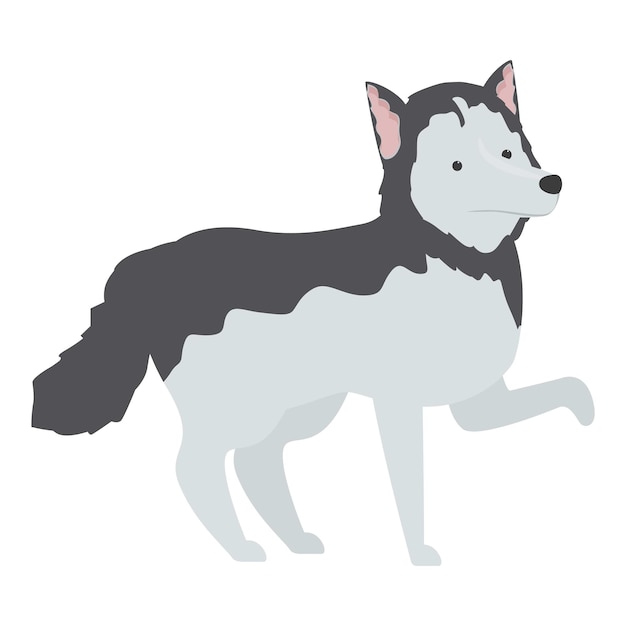 Cute siberian husky dog standing on white background