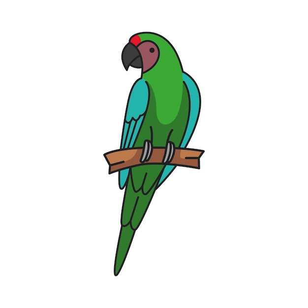 Vector cute and simple military macaw vector illustration
